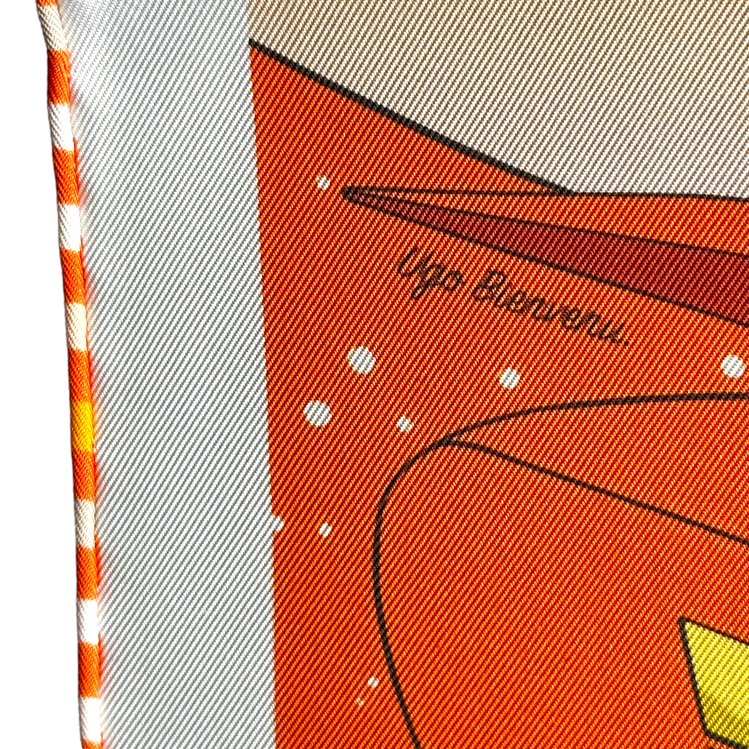 Space-derby-foulard-hermes-signature-ugo-bienvenu