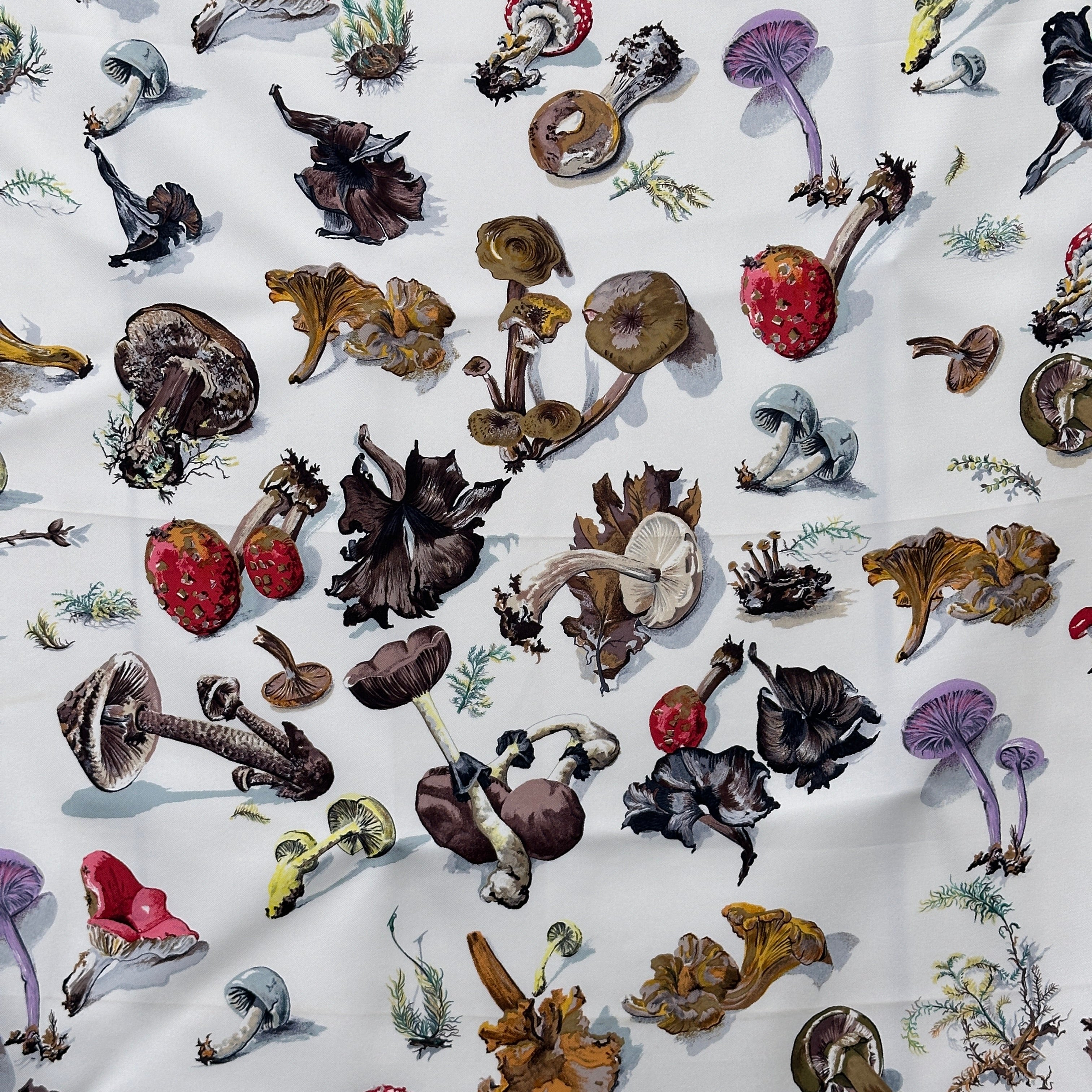 detail-du-motif-champignons-multicolores