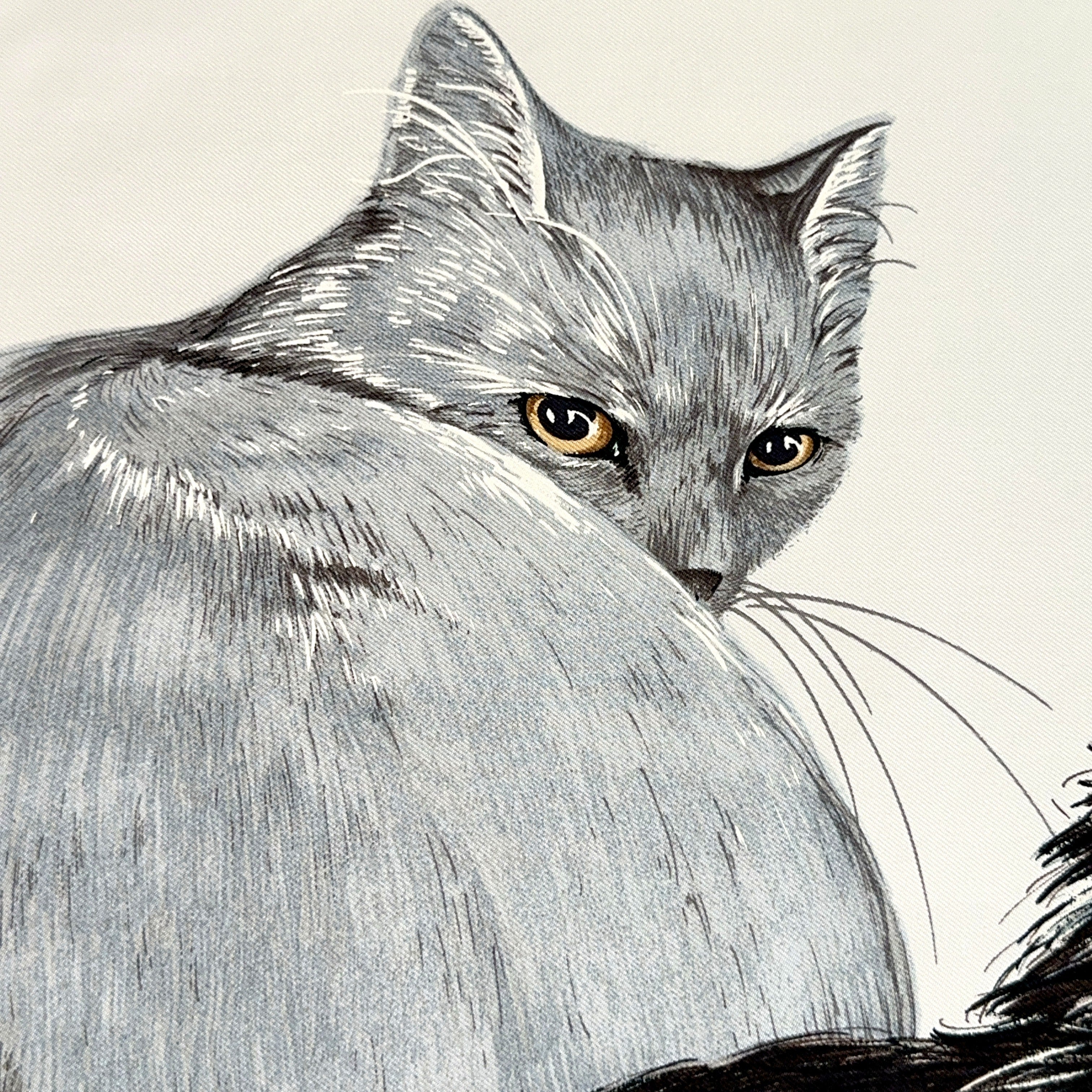 Carré Hermès Les Chats de Daphné Duchesne, 90 cm soie, détail fourrure du chat gris British, dessin réaliste