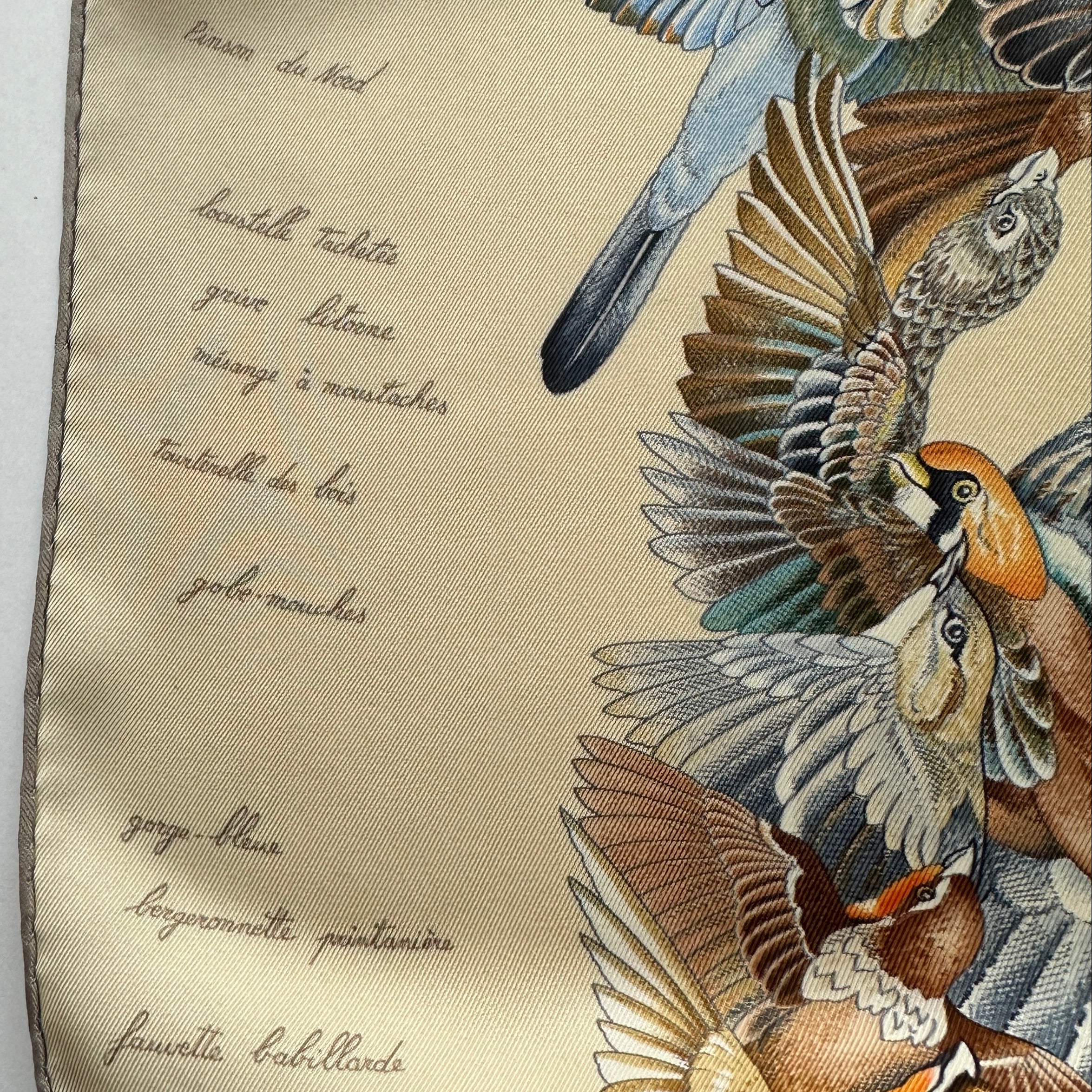 zoom sur les noms des oiseaux calligraphiés